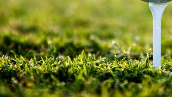 Večer českého golfu 2024, Golf