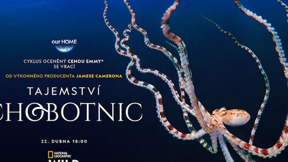 Tajemství chobotnic (3)