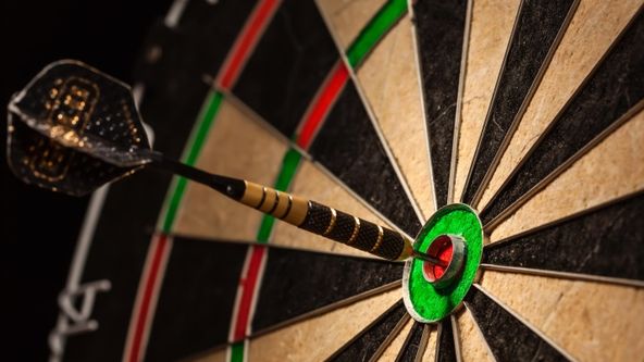 Darts - šipky, 2013 The Grand Slam, semifinále, Taylor - Lewis