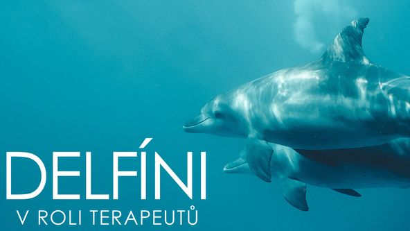 Delfíni v roli terapeutů