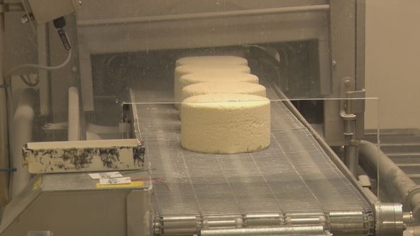 Toulky Českem budoucnosti V