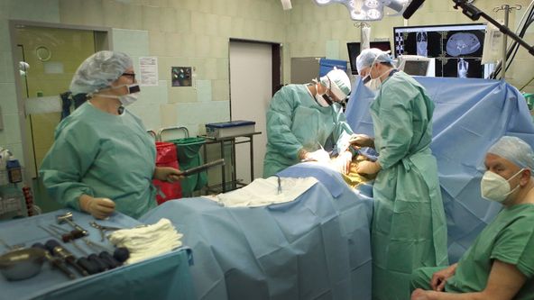 Mistři medicíny II