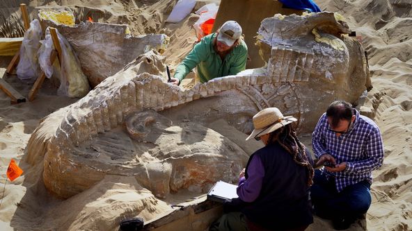 Tajemství oceánů IV (2)