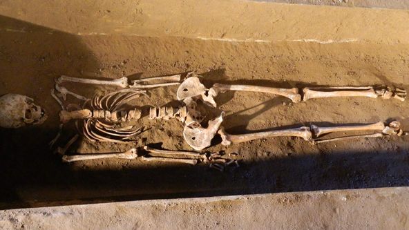 Záhady Toma Wizarda