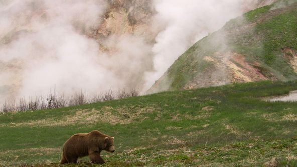 Síly formující přírod (1)