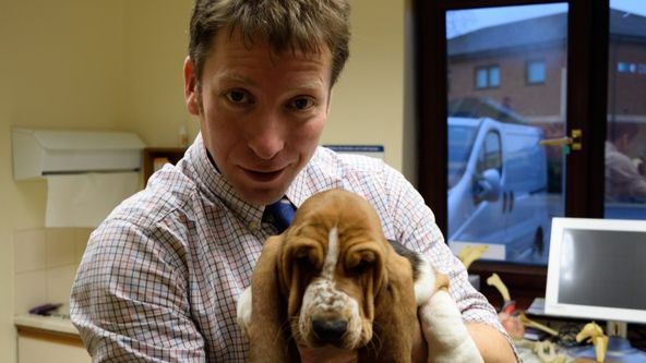 Veterinář z Yorkshiru X (6)