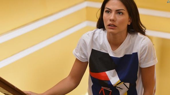 Zasněná láska (101)