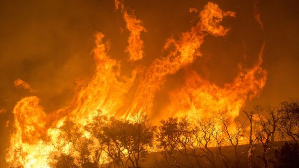 Obří požáry (1/2)