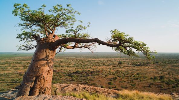 Velkolepá příroda Afriky