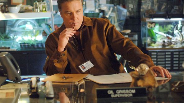 Kriminálka Las Vegas VII (10)