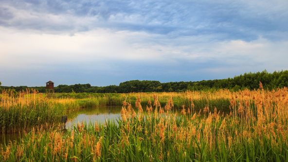 Obora Obelisk bez doby hájení