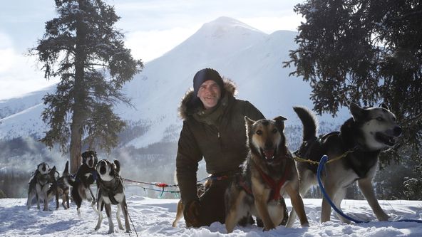 Sněžní psi: Aljašská divočina