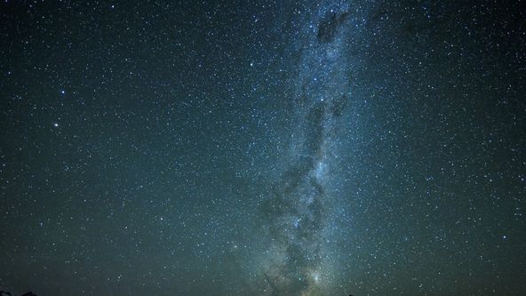 Divoké srdce Nového Zélandu