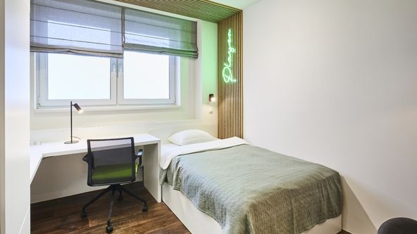 Bydlet jako... v záři neonu