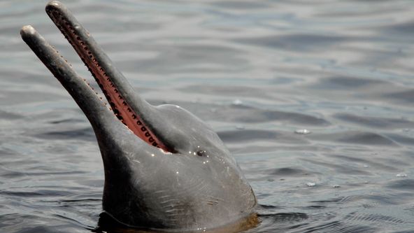 Síly formující přírod (3)