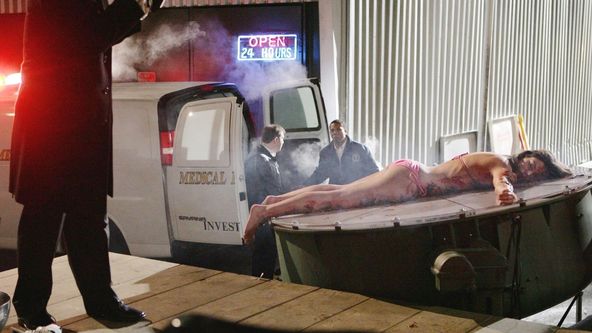 Kriminálka New York II (11)