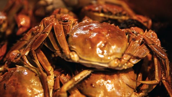 Čína na jazyku II (7/8)