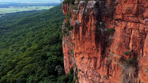 Pantanal - brazilský přírodní zázrak