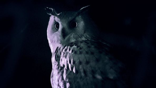 Nádherná příroda Dánska