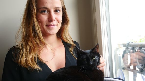 Kočičí příběhy