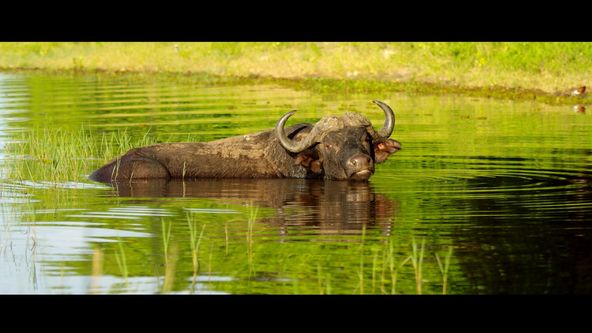 Botswana - poslední africký ráj