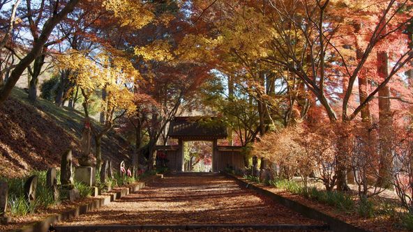 Japonsko: Kouzlo ročních období (2)