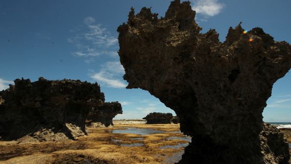 Madagaskar, osobně a zblízka