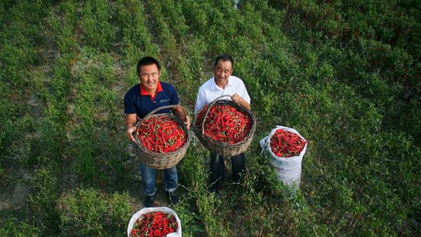 Čína na jazyku II (6/8)