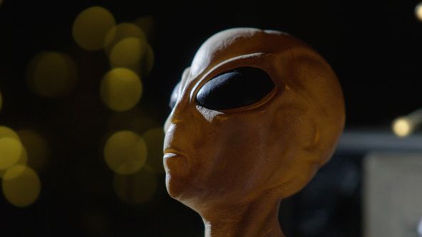 Blízká setkání u protinožců (5)