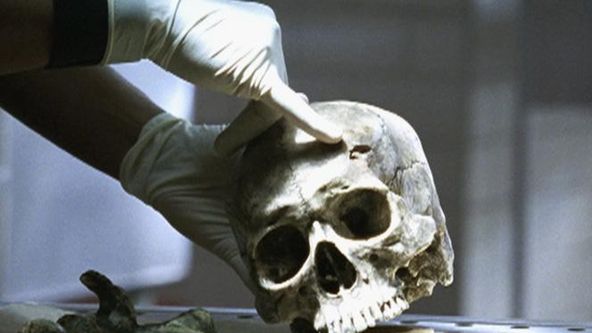 Kriminálka New York (3)