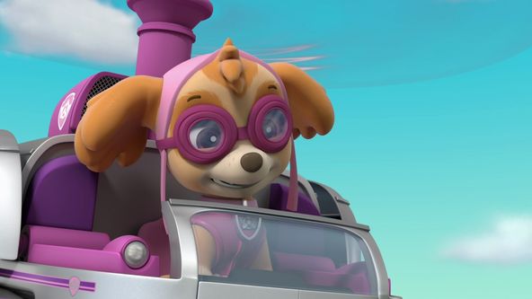 Tlapková patrola VIII