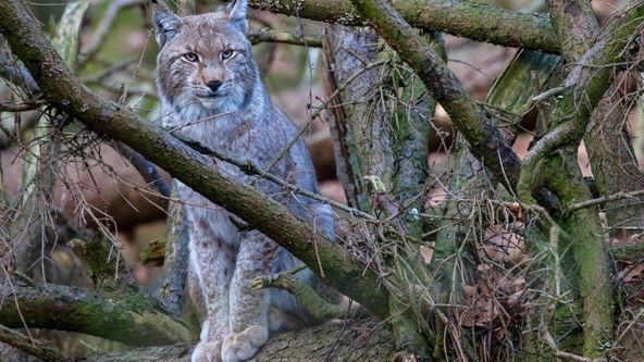 Kouzelné hory v srdci Německa