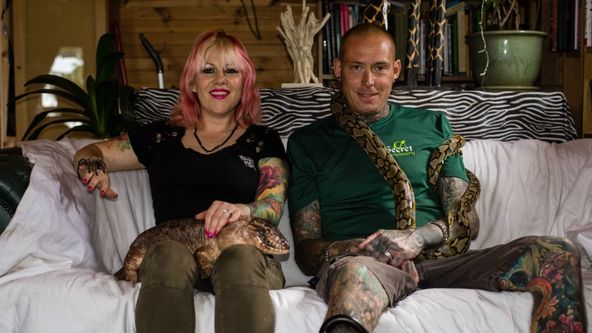 Hadi ve městě IX (4)