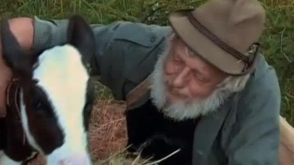 Příběhy o telátku