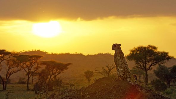 Serengeti III, Zázračná planeta (3/6)