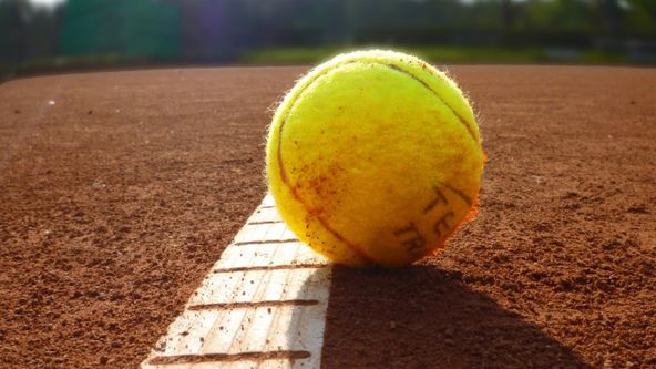 Abierto Tampico 2024