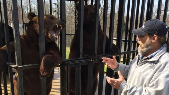 Projekt Grizzly (3)