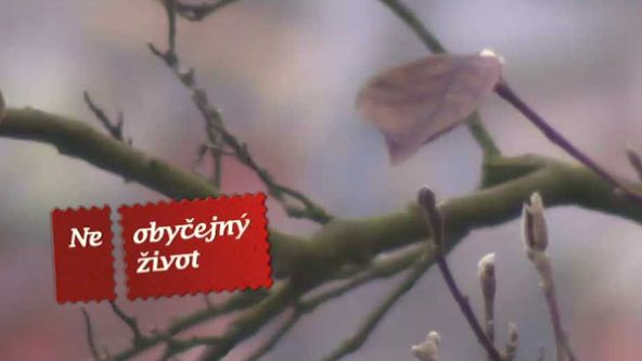 Neobyčejné životy, Jiří Schmitzer – 75 let