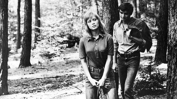 Stín létajícího ptáčka