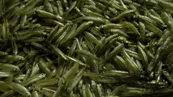 Afrika z výšky (8)