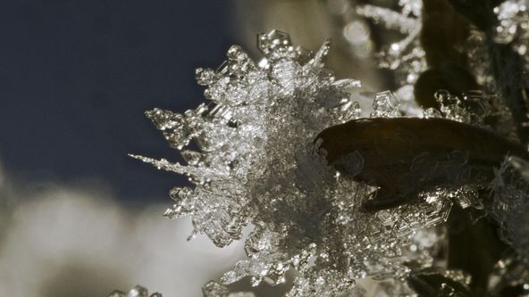 Narozeni ve Skalnatých horách (2/2)