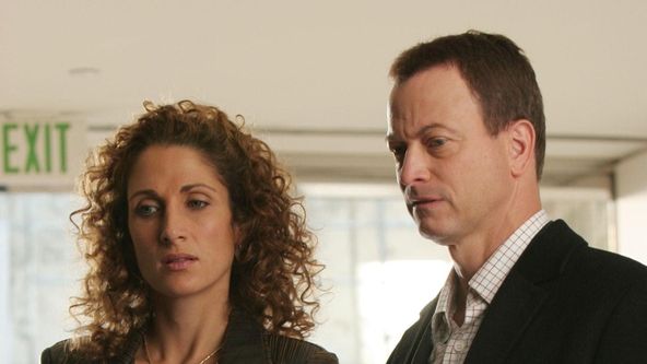 Kriminálka New York II (10)