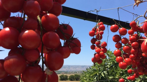 Úžasná Albánie (1/2)