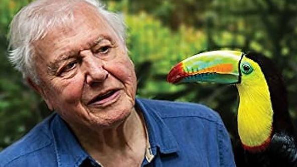 Život v barvě s Davidem Attenboroughem (1)