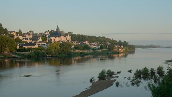 Divoká Loira
