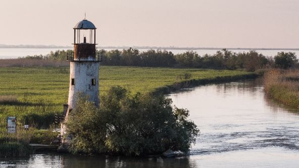 Nová divočina Evropy (4)