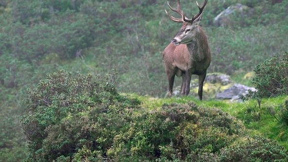 Odhalené Pyreneje (3)