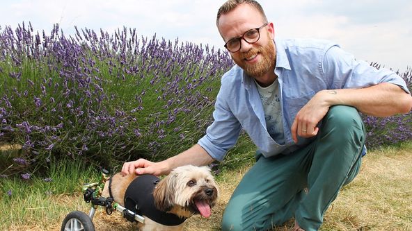 Môj zvierací miláčik: Príbehy z veterinárnej kliniky II