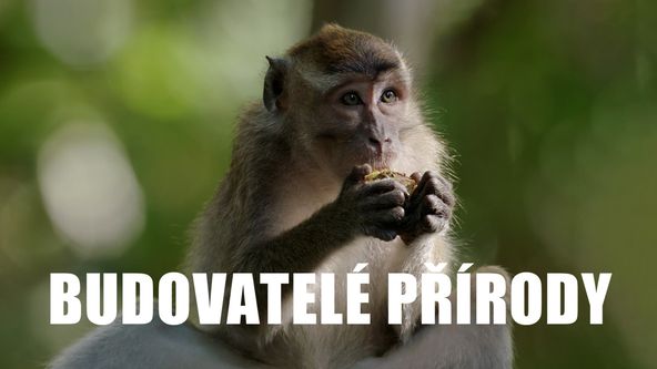 Budovatelé přírody (1/3)
