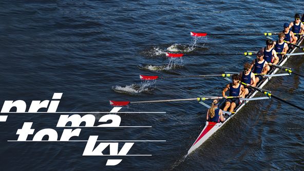 Primátorky, Veslování